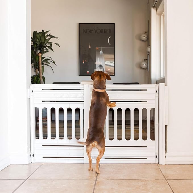 IRIS USA 24"-39" Dog Gate, Adjustable Indoor Pet Barrier, Pet Gate for Puppy, Small Dog, Cat, Easy Twist-to-Lock for Doorways & Stairs, Portable, Expandable, 25" Tall, 2-Pack, White