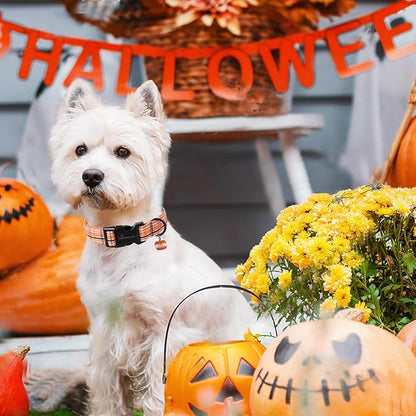 ARING PET Puppy Fall Dog Collar, Autumn Orange Black White Plaid Pet Collars for Small Medium Large Girl Boy Dogs Halloween-XL Size