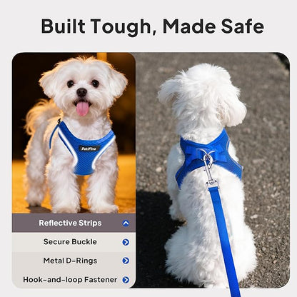 PetiFine Step in Small Dog Harness and Leash Set, Breathable All Weather Air Mesh Reflective Escape Proof, Step-in Vest Harnesses for Puppy(S, Baby Blue)