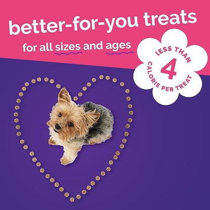 Fruitables Skinny Mini Dog Treats, Healthy Sweet Potato Treat for Dogs, Low Calorie & Delicious, Puppy Training, No Wheat, Corn or Soy, Made in the USA, Grilled Bison Flavor, 12oz