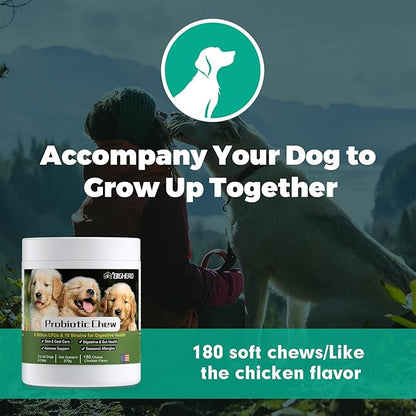 BIGHERO Probiotics for Dogs - Dog Probiotics with Prebiotics and Digestive Enzymes, Support Gut Health, Digestive & Immune Health, Dog Supplement for Diarrhea & Seasonal Allergies-180 Chicken Flavor