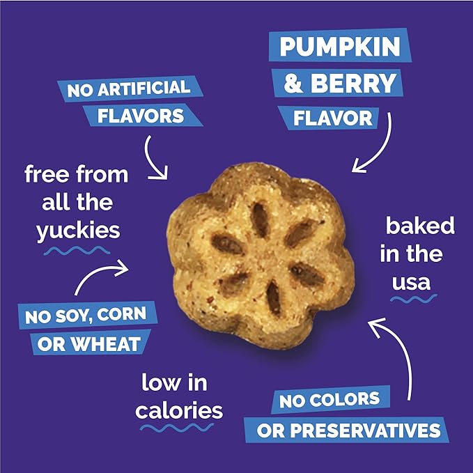 Fruitables Skinny Mini Dog Treats, Healthy Pumpkin Treat for Dogs, Low Calorie & Delicious, Puppy Training, No Wheat, Corn or Soy, Made in The USA, Pumpkin and Berry Flavor, 12oz