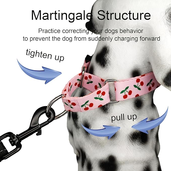 Martingale Dog Collars for Large Dogs with Buckle No Pull Cute Girl Pink Pet Collar (Cherry, Large)
