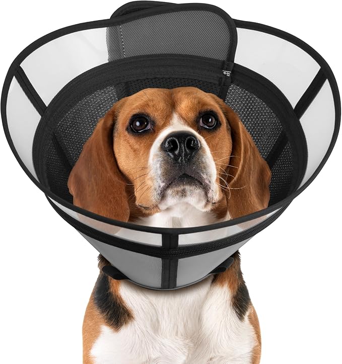Cone for Dogs – Soft Elizabethan Collar for Large, Medium & Small Dogs | Post-Surgery Recovery, Anti-Licking, Adjustable & Lightweight Dog Cone Alternative (Black,L)