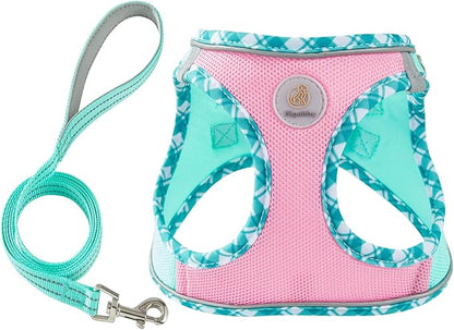 Hipubby Dog Harness Small Sized and Leash Set, No Pull Soft Mesh Puppy Vest, Reflective Breathable Lightweight Pet Harness, Harness for Small Medium Dogs and Cats - Pink Green, S