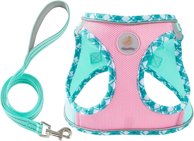 Hipubby Dog Harness Small Sized and Leash Set, No Pull Soft Mesh Puppy Vest, Reflective Breathable Lightweight Pet Harness, Harness for Small Medium Dogs and Cats - Pink Green, XS