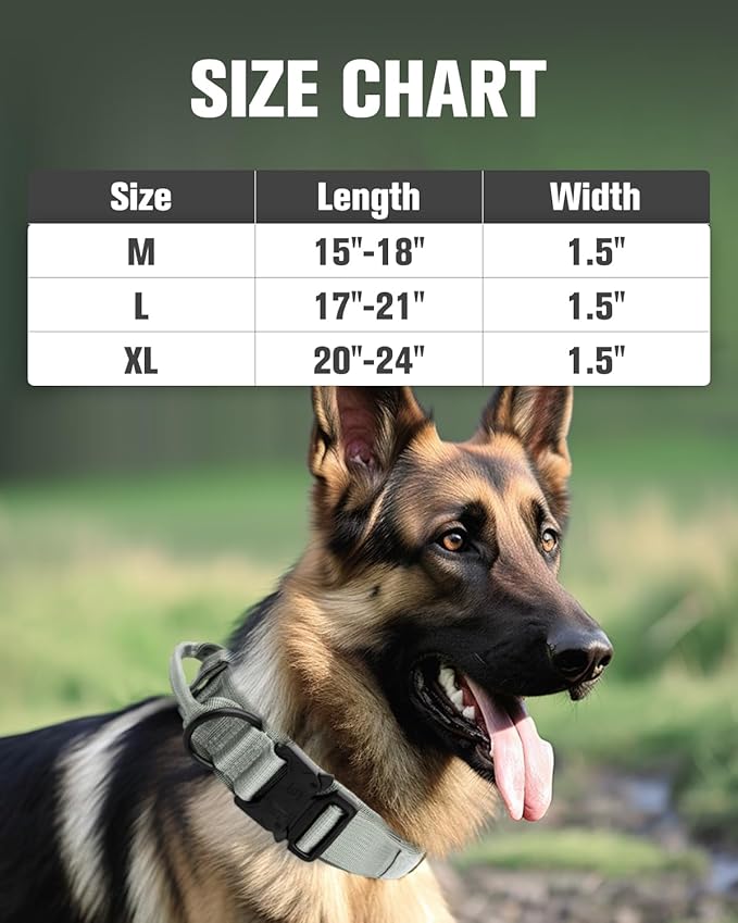 Joytale Tactical Dog Collar with Handle and Metal Buckle, Heavy Duty Padded Military Collar with 2 Patches for Training, Adjustable for Medium Dogs, Gray, M
