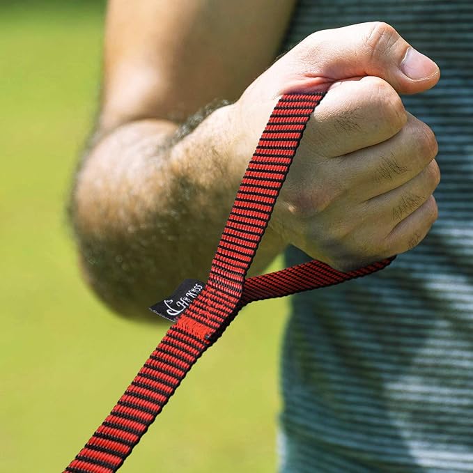 Hi Kiss Dog/Puppy Obedience Recall Training Agility Lead - 15ft 20ft 30ft 50ft 100ft Training Leash - Great for Training, Play, Camping, or Backyard(100ft,Black_red)