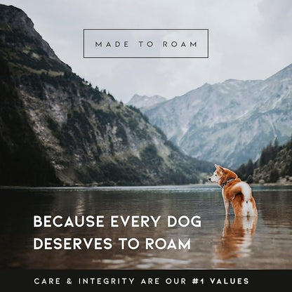 MADE TO ROAM Premium Explorer Leash - Climbing Rope Leash with Autolocking Aviation Aluminum Carabiner - Texas Flair, 4ft