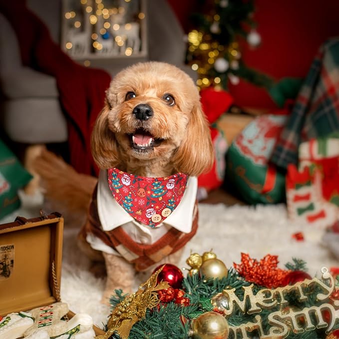 EXPAWLORER Christmas Dog Collar and Leash Set - Adjustable Collars with Bow Tie, Bandana, and Bell for Small, Medium, Large Dogs and Cats - Tangle Free Leash - Perfect for Pets