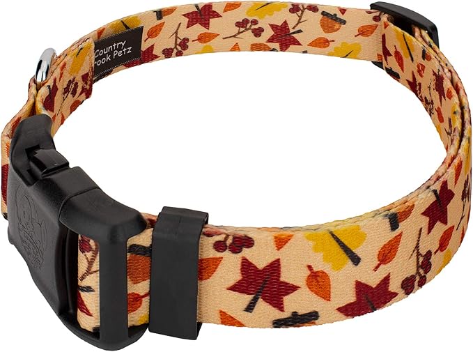 Country Brook Petz - Fall Foliage Everyday Dog Collar and Leash - Awesome Autumn Collection Featuring Designs You Will Fall for (1/2 Inch, Extra Small)