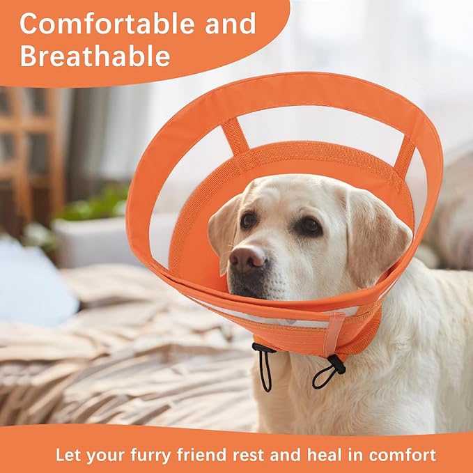 ASENKU Dog Cone Collar, Soft Adjustable Cone for Dogs to Stop Licking, Lightweight Recovery Dog Cone After Surgery, Pet E-Collar for Small, Medium & Large Dogs(Orange,L)
