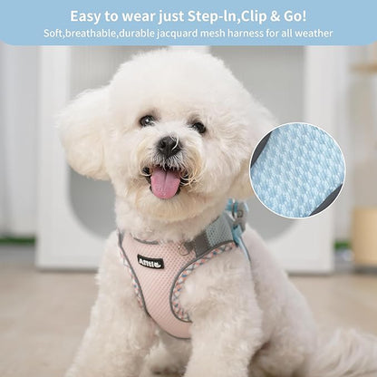 AIITLE XXS Dog Harness & Leash Set - Breathable Reflective No-Choke Small Dog Harness for Teacup Puppies, Indoor/Outdoor Use - Boston Terrier, Maltese, Chihuahua (Blue-Pink, XXS)