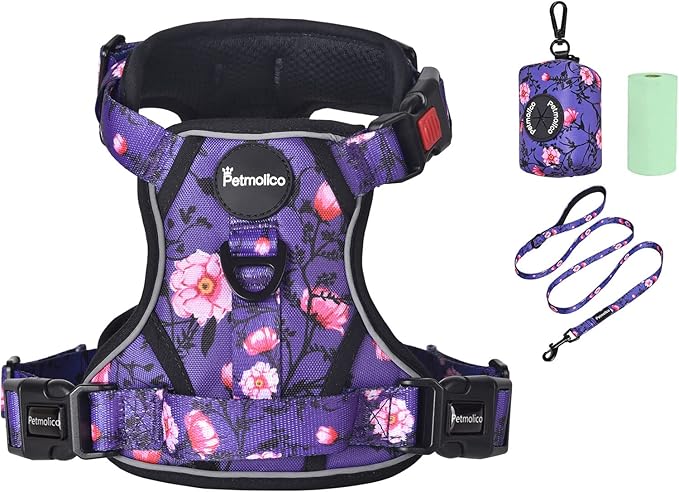 Petmolico No Pull Dog Harness Set with Leash Attachment Easy Control Handle Reflective Harness Vest Small Breed, Puppy Vest and Leash Set with Poop Bag Holder, Medium - Purple Peach