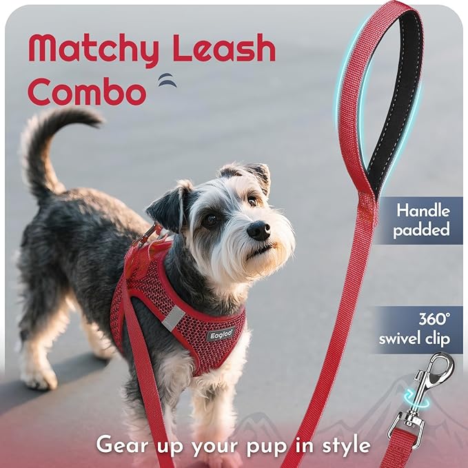 Eagloo Small Dog Harness and Leash Set, Step in Puppy Vest with Breathable Soft Mesh, Walking Reflective Pet Harness for Medium Small Dogs, Red, L