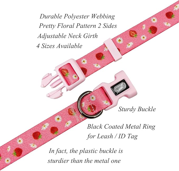 Dog Collar Leash Set, Floral Pattern, Polyester Material, Adjustable Collar and 5ft Matchcing Leash, for Small Dogs.(S, Daisy and Strawberry)