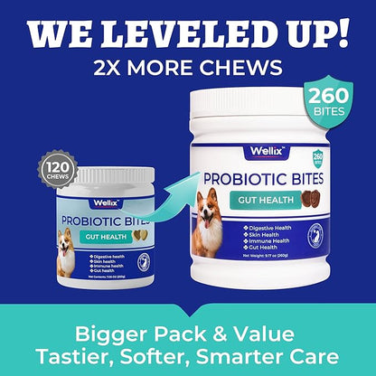 Wellix 260 Bites Probiotics for Dogs - Dog Probiotics and Prebiotics with Pumkin - Improve Digestive Health, Allergies and Itchy Skin Relief Natural Gut Health Supplements for Small Medium Senior Dog