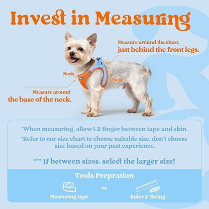 rabbitgoo Small Dog Harness, Step-in Soft Mesh Puppy Vest with Safety Buckle, Breathable Reflective Pet Harness for Extra Small Dogs, Blue & Orange XXS