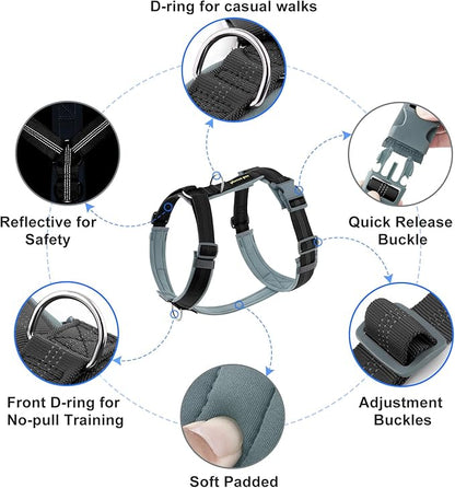 Plutus Pet No Pull Dog Harness, Adjustable Nylon Harness with Soft Padding, Reflective and Heavy Duty Dog Harness for Small, Medium, Large Dogs(Black, M)
