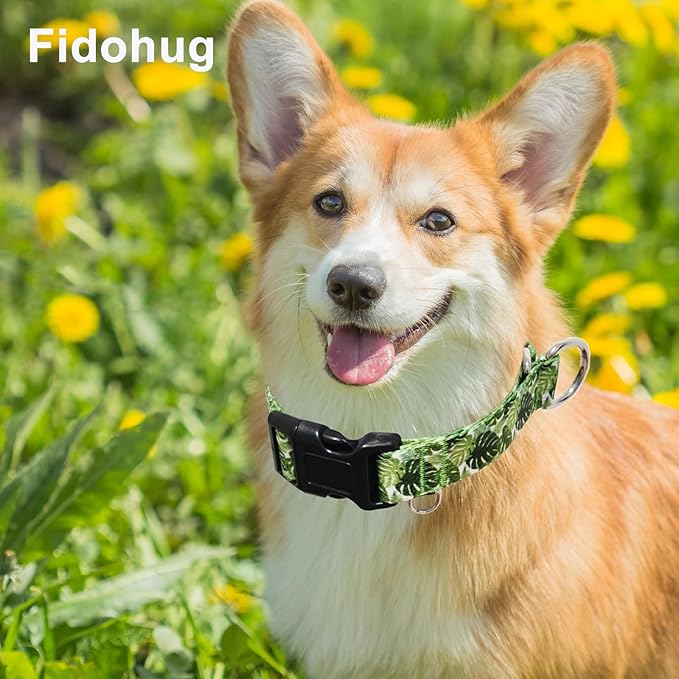 Limited Slip Collar for Dogs with Buckle Adjustable Nylon Tropical No Pull Martingale Training Dog Collars (Palm Leaf, Medium)