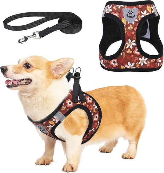 KOOLTAIL Fall Dog Harness and Leash Set for Small Medium Dogs, Autumn Step in No Pull Comfort Padded Pet Vest, Adjustable Reflective Easy Walking Puppy Cats Harness Training, Leaf & Flower S