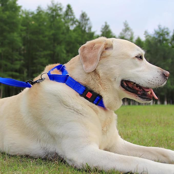 Joytale Martingale Collar for Dogs, Reflective Heavy Duty for Safety, Quick Release Buckle, Adjustable Nylon Collars for Puppy and XSmall Dogs Walking Training, Navy Blue,XS