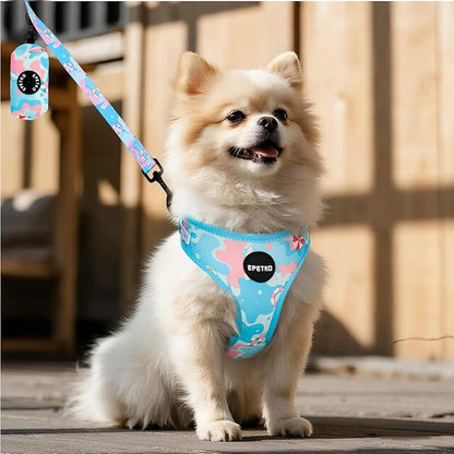 Small Dog Harness and Leash Set of 6, No Pull Soft Lightweight Mesh Puppy Harness， Adjustable Cute Floral Pattern Pet Harness for Small Medium Dogs (Blue Sea, L)