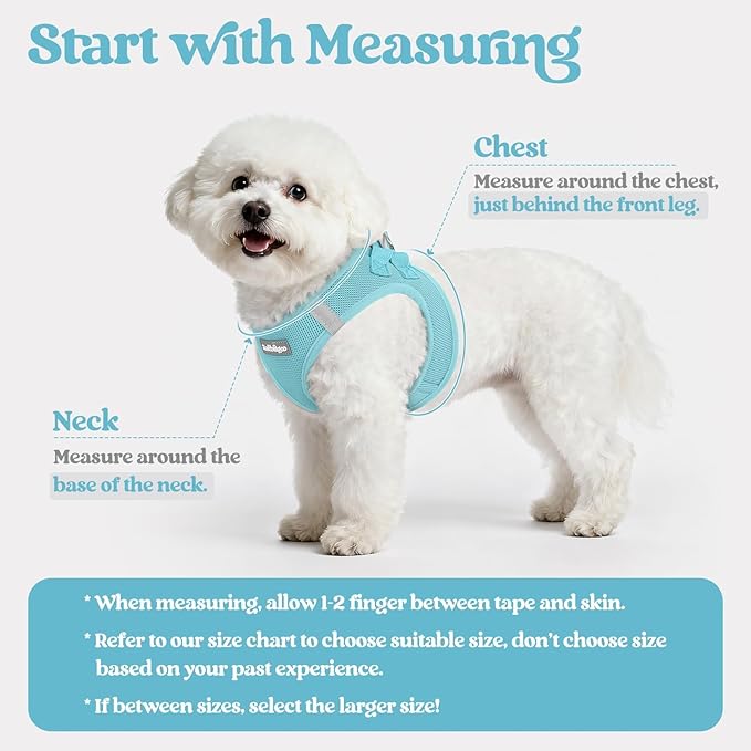 rabbitgoo Dog Harness Small Sized and Leash Set, Step in Soft Light Puppy Vest, Breathable Mesh Pet Harness, Reflective for Safe Easy Walking, Mint Blue S