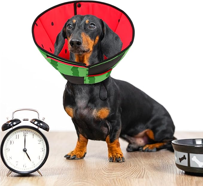 Queenmore Dog Cone, Cone for Dogs to Stop Licking, Dog Cones for Medium Dogs, Adjustable Doggy Recovery Collars & Cones, Elizabethan Collar for Pets After Surgery, Watermelon M