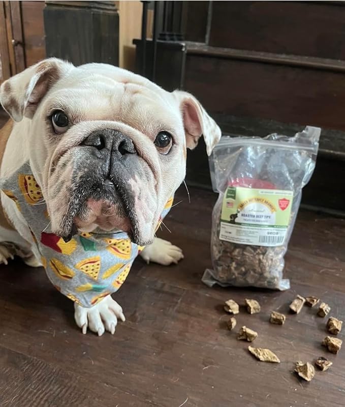 Beef Dog Treats – Made in USA Only – All Natural, Meaty Beef Tips – Premium, Slow Roasted – Grass Fed, Farm Raised – Crunchy, Grain Free Training Treat, 8 Ounces
