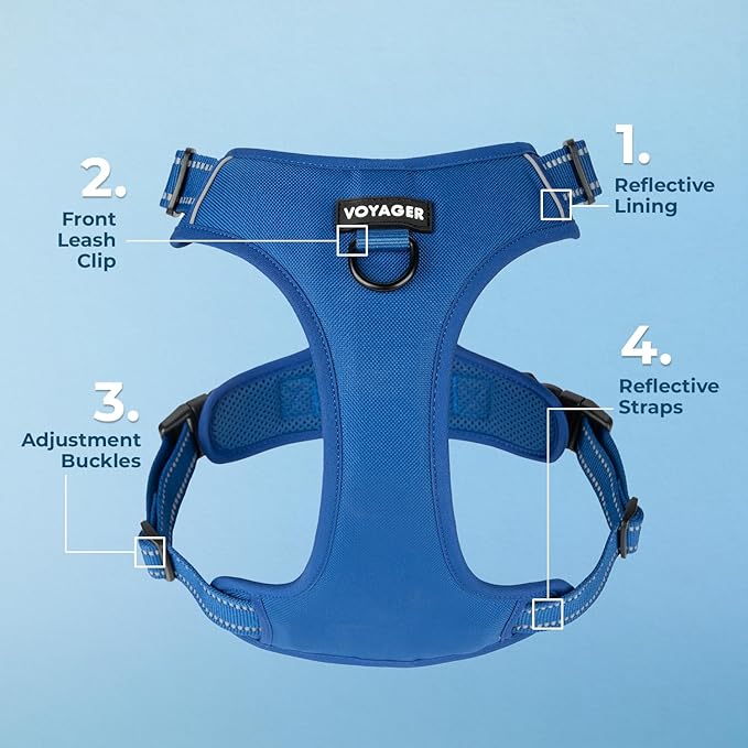 Voyager Dog Harness Dual Leash Attachment No-Pull Control Adjustable Soft but Strong Pet Harness for Medium and Large Dogs with 3M Reflective Technology, Royal Blue Lattice Nylon, M (Chest: 20-25")