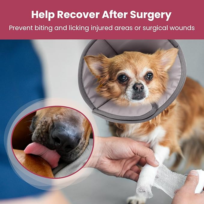 BARKLESS Dog Cones for Medium Dogs, Soft Cones for Dogs After Surgery to Stop Licking, Adjustable Elizabethan Collar, Neuter Cone of Shame Alternatives, Lightweight Dog Recovery Collar (Grey, M)
