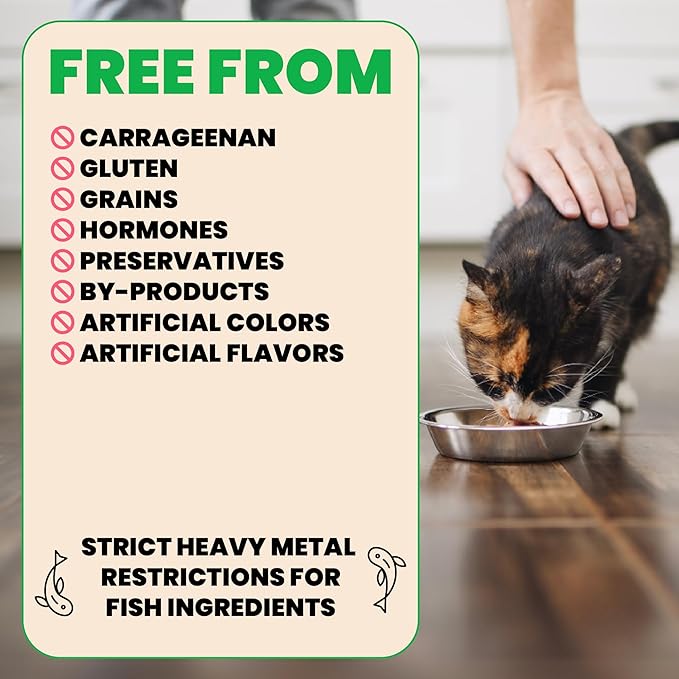 almo nature HQS Natural Wet Cat Food Ocean Fish in Broth, Grain-Free, 2.47 oz (Pack of 24)