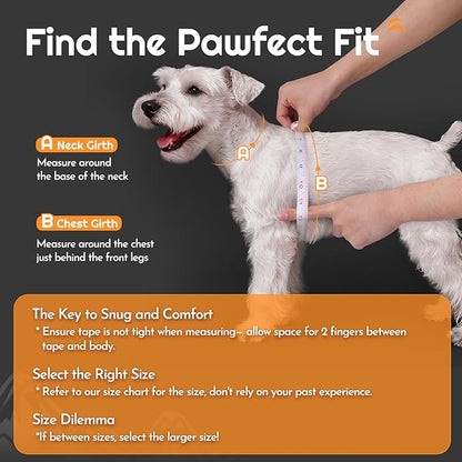 Eagloo Small Dog Harness and Leash Set, Step in Puppy Vest with Breathable Soft Mesh, Walking Reflective Pet Harness for Small Dogs, Black, XS