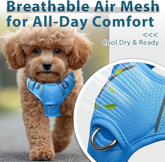 BARKBAY Dog Harness No Pull with ID Tag Pocket - Heavy Duty, Reflective, Easy Control for Large Dogs(Blue,XS)