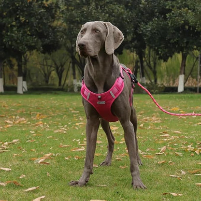 Dog Harness No Pull Adjustable Reflective,for Medium and Large Small Dog with Leash 59.06in (Fuscia, L)