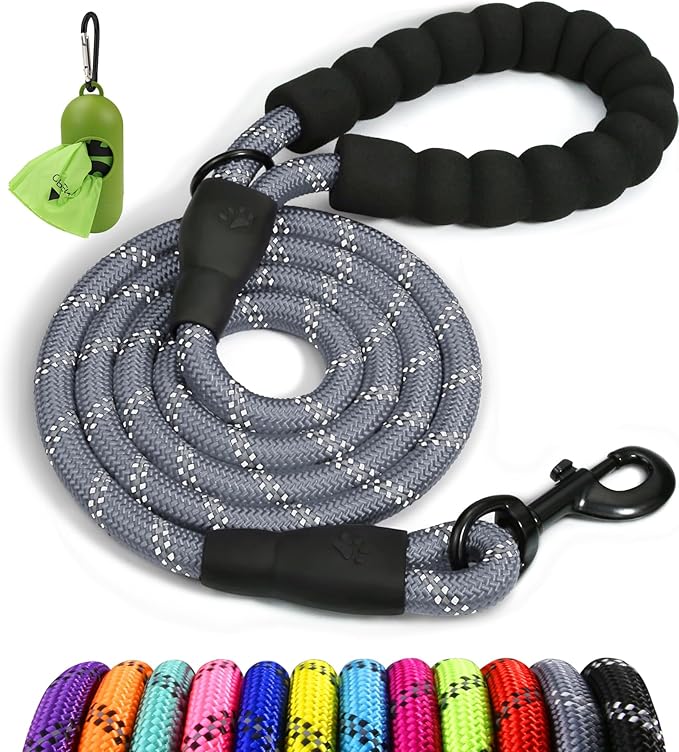 Taglory Rope Dog Leash 4 FT with Comfortable Padded Handle, Highly Reflective Threads Leash and Anti-Tangle Clip for Walking Small Dogs, 3/8 inch, Grey