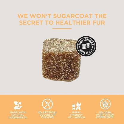 Natural Rapport Dog Skin and Coat Supplement - The Only Skin and Coat Soft Chews Dogs Need - 120ct Treats that Contain Salmon Oil and Omegas 3, 6, & 9