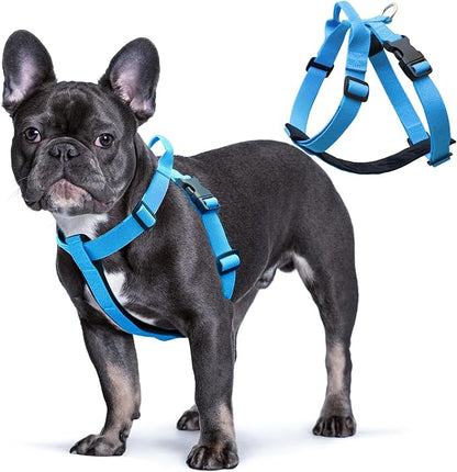 Galaxy Reflective Dog Harness,Adjustable 4-Point Fit,Anti-Pinch Buckles,Back-Clip Control & Emergency Handle,Velvet Lined for Small, Medium and Large Dogs, (Blue, S)