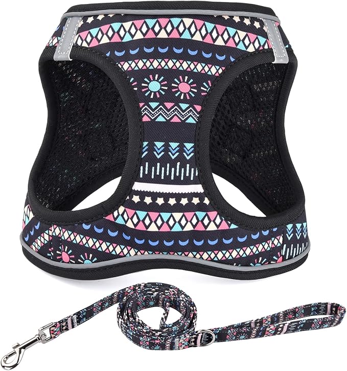 Mihqy Step in Dog Harness and Leash Set, Reflective Adjustable No Pull Dog Harness for Small Medium Dogs Puppy and Cats, Soft Padded Mesh Vest Harnesses for Girl and Boy Pets(Black Bohemia,M)