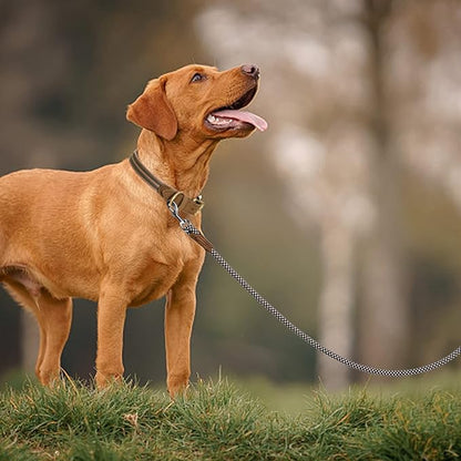 Mile High Life | Premium Leather Dog Leash | Strong Rope Leash | Leather Handle | Zinc Alloy Strong Clasp | Small Medium Large Dogs | 4/5/6 Feet(Brown, 48 Inch (Pack of 1))