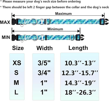 Reflective Martingale Collar with Buckle Adjustable Nylon Training Pet Collars for Small Dogs (Turquoise Shell, S)