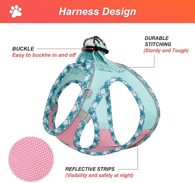 Hipubby Dog Harness Small Sized and Leash Set, No Pull Soft Mesh Puppy Vest, Reflective Breathable Lightweight Pet Harness, Harness for Small Medium Dogs and Cats - Pink Green, S