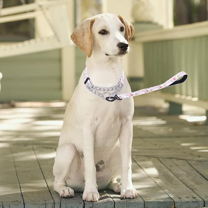 Martingale Dog Collar and Leash Set, Stainless Steel Chain, No Pull Training Collar with Flower Design, for Small, Medium, Large Dogs (NO26, L)