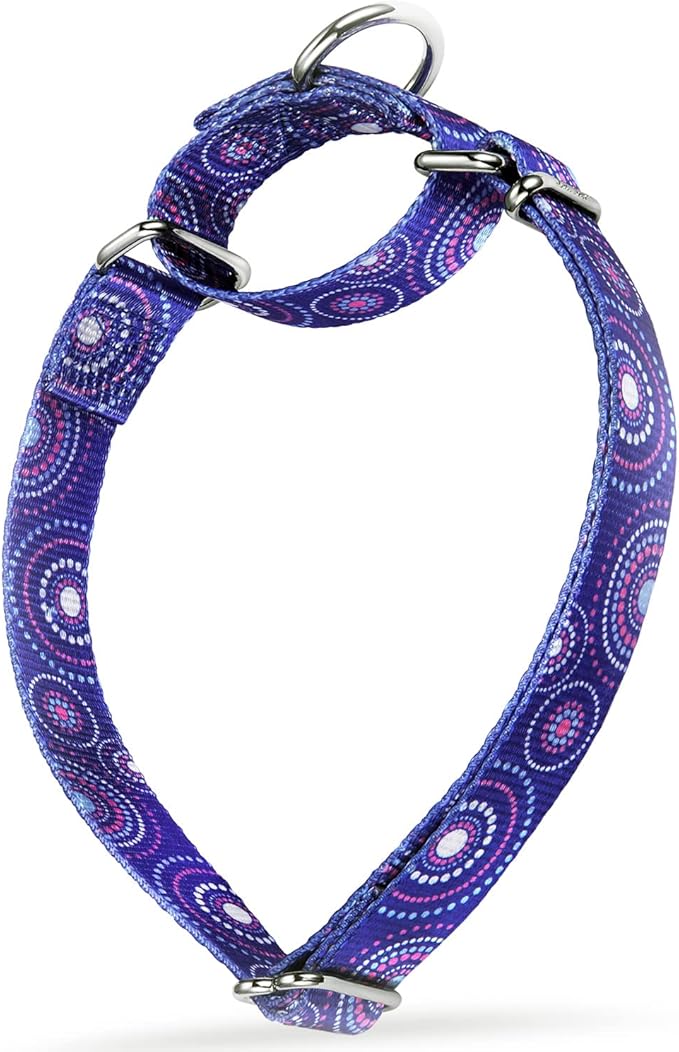 Martingale Collar Dog Collar No Pull Pet Collar Heavy Duty Dog Martingale Collars Silky Soft with Unique Pattern for Medium and Large Dogs (Medium, 1 Inch Wide, Firework Dots -Royal Blue)