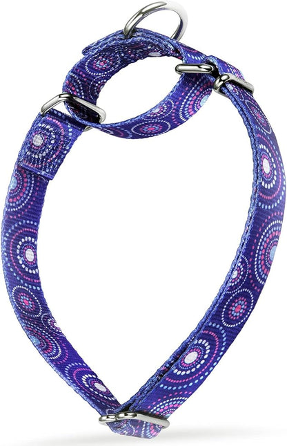 Martingale Collar Dog Collar No Pull Pet Collar Heavy Duty Dog Martingale Collars Silky Soft with Unique Pattern for Medium and Large Dogs (Medium, 1 Inch Wide, Firework Dots -Royal Blue)