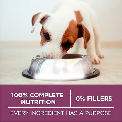 Purina ONE Plus Healthy Puppy Formula High Protein Natural Dry Puppy Food with added vitamins, minerals and nutrients - (Pack of 4) 4 lb. Bags