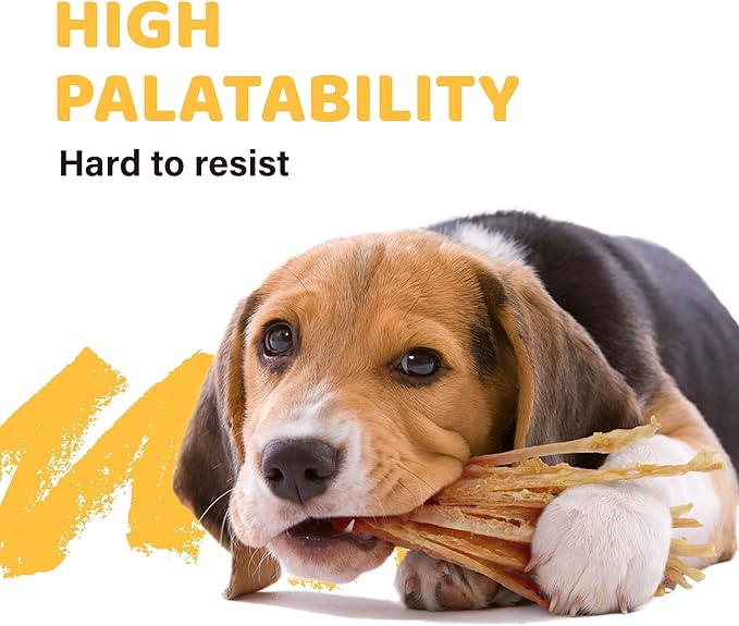 iPaw Turkey Tendons for Dogs, Single Protein, Hypoallergenic, All Natural Human Grade Puppy Chew, Rawhide Alternative Dog Treats, 1 Pack Strip (Large)