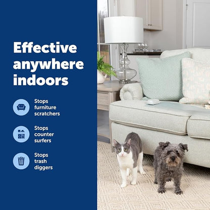 PetSafe ScatMat Indoor Training Mat