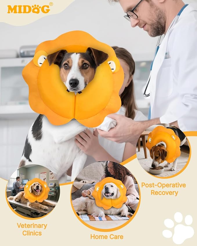 MIDOG Inflatable Dog Cone Collar, Lion Mane Soft Dog Cone Alternative After Surgery with 40% Extra Protection Area Anti-Lick, Adjustable Donut Recovery Collar for Large Medium Small Dogs (Lion, L)